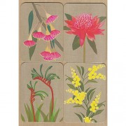 Magnet Greeting Card - Gillian Mary Australian Flowers